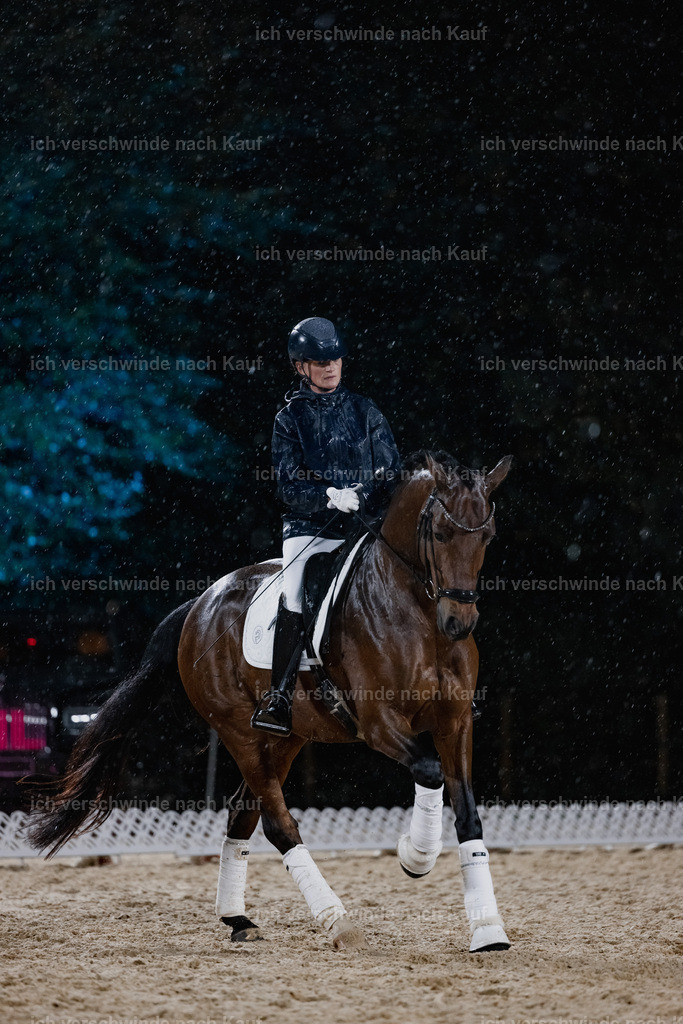FHClassics-96 | working equitationturnier fotograf videograf stoibphotography marixx film working equitation deutschland reitsport turnierfotografie eventfotografie equestrian events