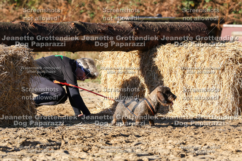 Dog Paparazzi - Strongdog 10-25-1594 | Dog Paparazzi Jeanette Grottendiek Fotografie & Videografie - Realisiert mit Pictrs.com