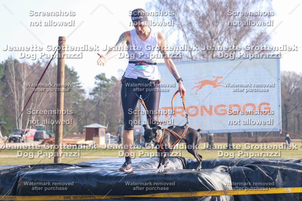 Dog Paparazzi - Strongdog North Mrz26-987 | Dog Paparazzi Jeanette Grottendiek Fotografie & Videografie - Realisiert mit Pictrs.com