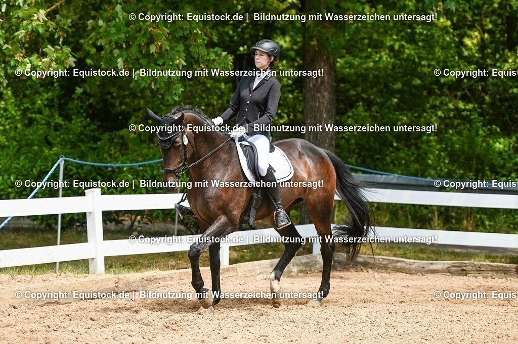 20230716_03_Dressurprfg. Kl.L - Tr._0570 | equistock