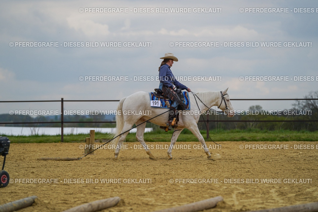 DSC07475 | Pferdegrafie