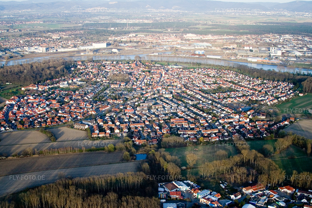 Luftbild: Ortsansicht der Straßen und Häuser der Wohngebiete in Altrip im Bundesland Rheinland-Pfalz in Deutschland. Foto: IMG_10124.jpg vom 29.03.2008 durch Werner Riehm/FLY-FOTO.de