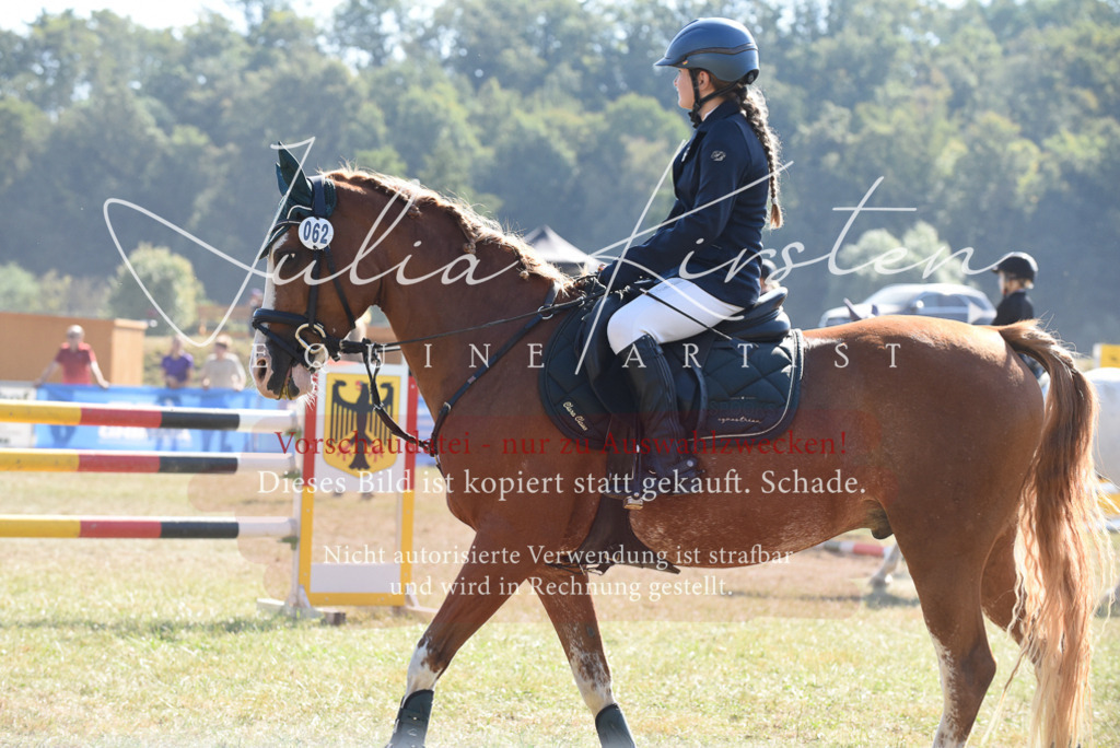 DSC_6131 | Pferde- und Turnierfotografie in Westsachsen. Pferdeportraits, Auftragszeichnungen und intuitive Kunst.