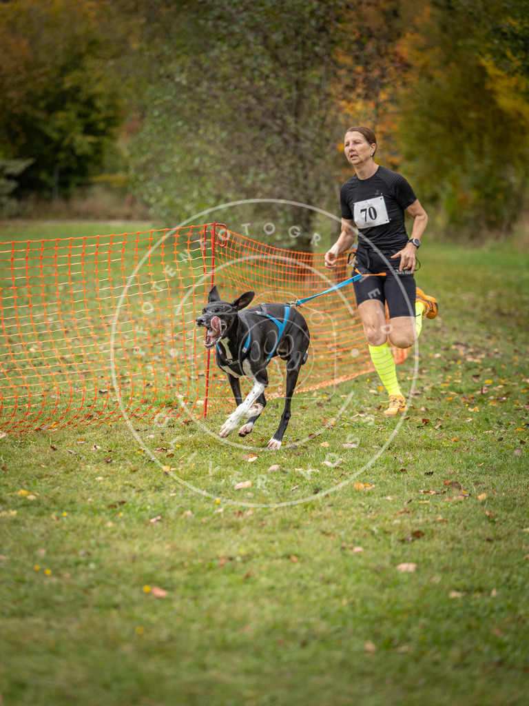 Pfotenfotografie_DV3A2800 | Hundefotografie, Tierfotograf, Pfotenfotografie, Fotoshooting Hund, Hunde Portrait, Hundesport, Hundeportraits, Heideshooting, Hunde, Sportfotograf, Hundefotograf, Turnierhundsport, THS,  - Realisiert mit Pictrs.com