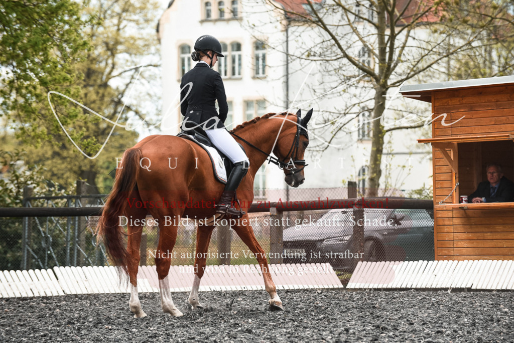 20230514_JK-Röhrsdorf-24-106 | Pferde- und Turnierfotografie in Westsachsen. Pferdeportraits, Auftragszeichnungen und intuitive Kunst.
