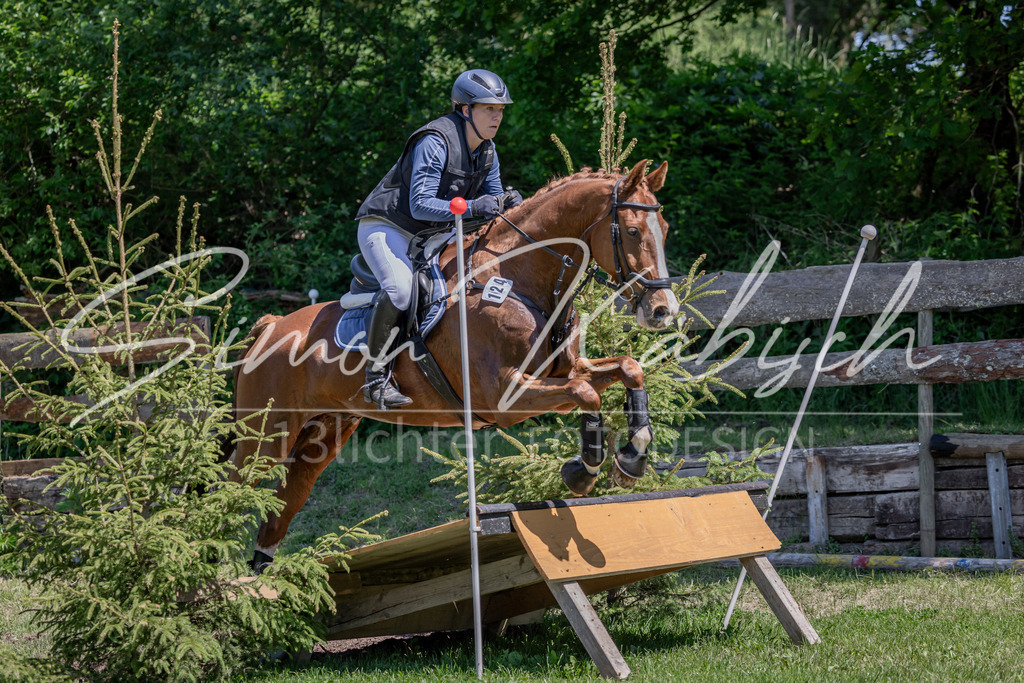 20260523-_3LI8351 | Tierfotografie Pferde, Hunde, Katzen, Haustiere.
Turnierfotografie Reitturniere, Reiten, Springreiten, Dressur in Hanau, dem Main-Kinzig-Kreis und dem Rhein-Main- Gebiet um Frankfurt