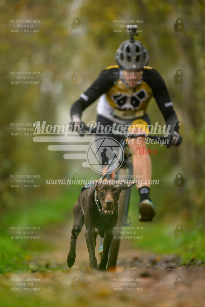 MompixPhotography_20TSB_E6_DS1-13 | PayLife