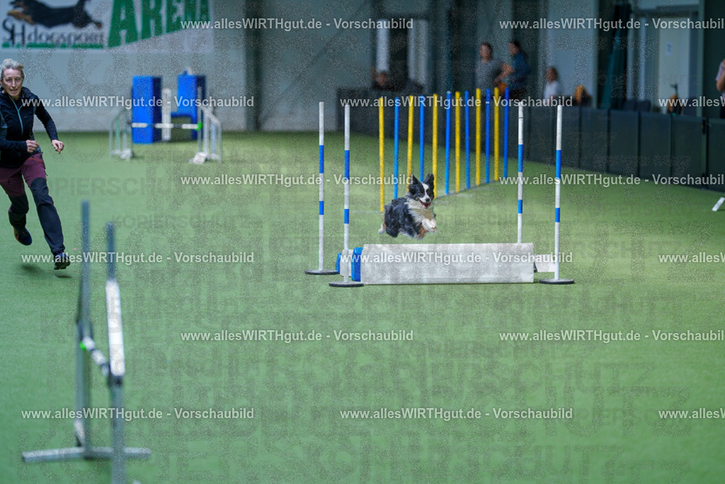 @allesWIRTHgut_Tierfotografie - www.allesWIRTHgut.de - 2604261344-7R502537 | Professionelle Tierfotografie in Mönchengladbach von Daniel Wirth (allesWIRTHgut). Liebevolle & natürliche Bilder von Hunden & Katzen für unvergessliche Erinnerungen.