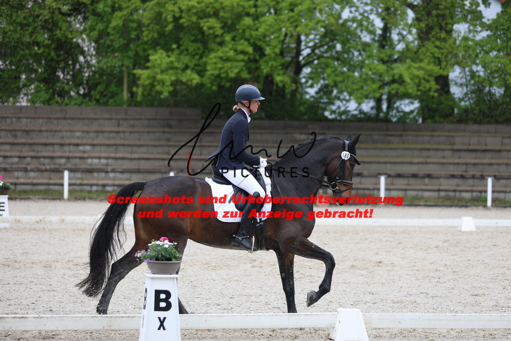 A40A8224 | lmwpictures - Realisiert mit Pictrs.com