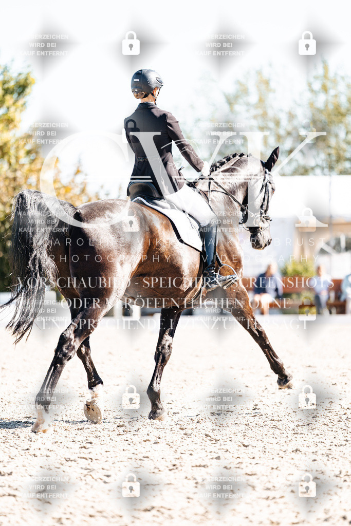 CK908886 | Turnierfotografie Pferdefotografie Trier Rheinland-Pfalz Pferdesport Reitsport Tierfotografie Sportfotografie Pferdevideo Pferdevideografie Equestrianvideography equestrianphotography  - Realisiert mit Pictrs.com