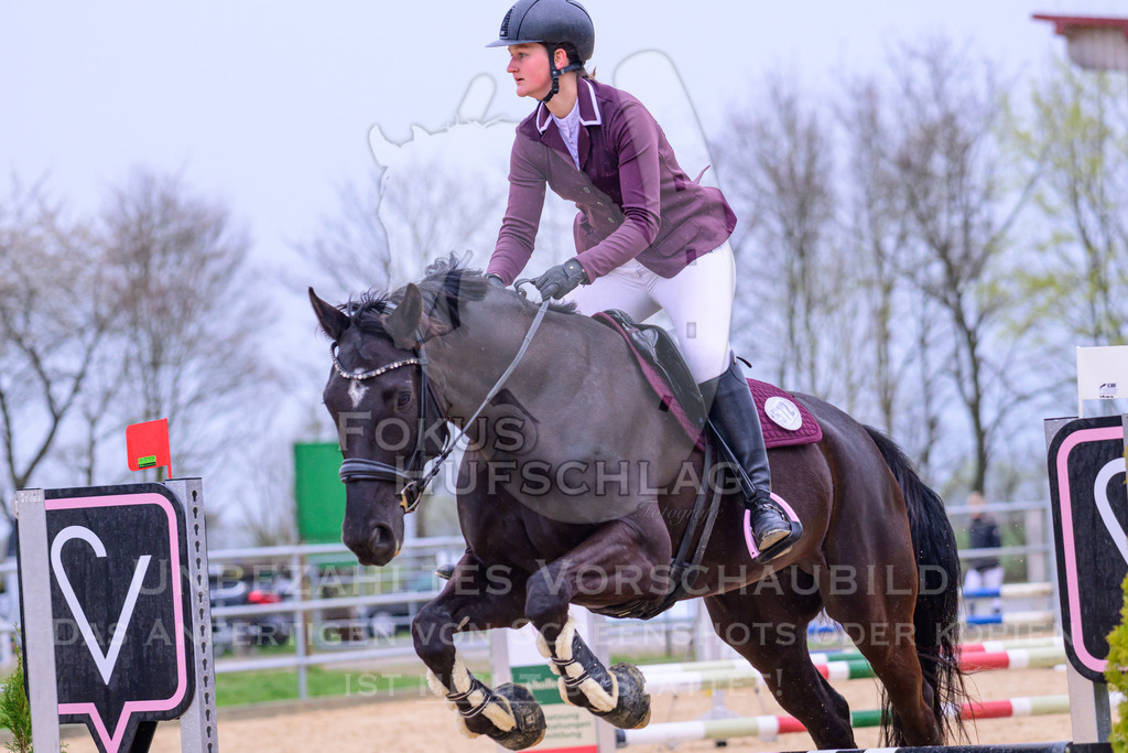 10042026-Mammendorf-Prfg13-0448 | Fokus Hufschlag Fotografie - Realisiert mit Pictrs.com