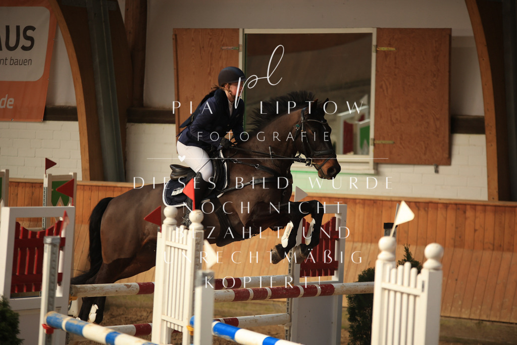 IMGT0391 | pl-fotografie