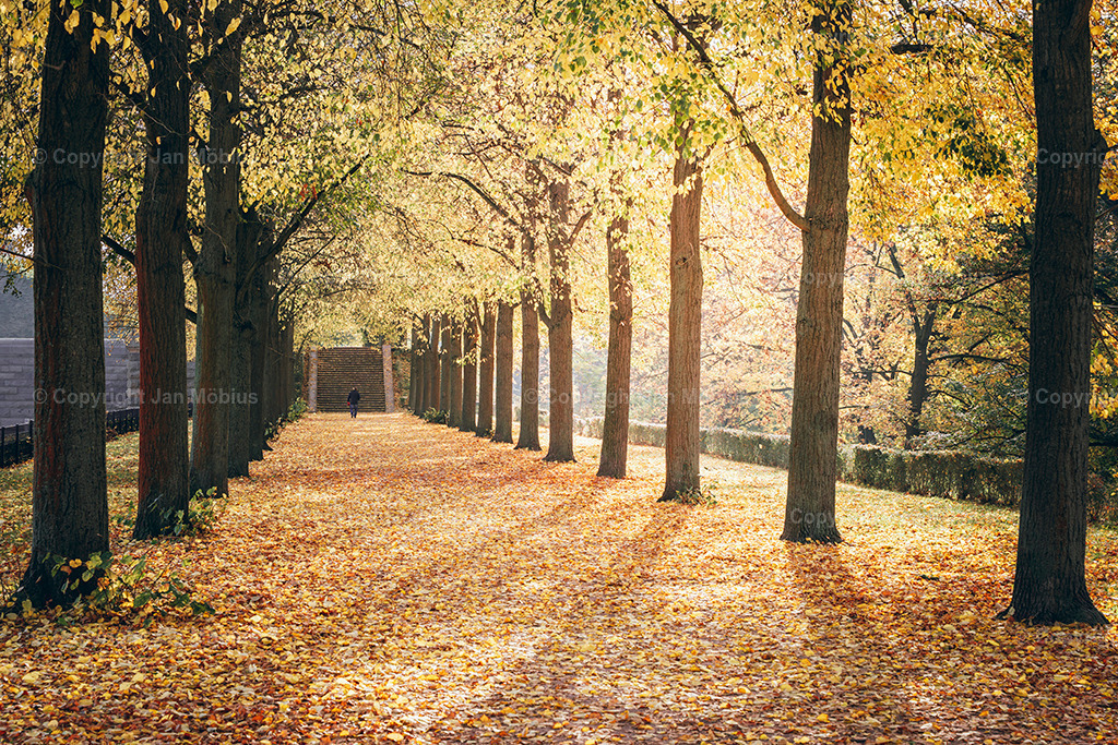 _DSC7973 | Leipzig Wandbilder Drucke Prints Leinwand Stadtmotive Leipzig Fotosdruck Kunstdrucke Bilder Leipzig Stadtansichten Acrylglasbilder Leipzig Wanddeko Fine Art Prints Wandbilder Büro Leipzig Bilder Praxis Zuhause Bilderdruck Poster Posterlounge Kunstdrucke - Realisiert mit Pictrs.com