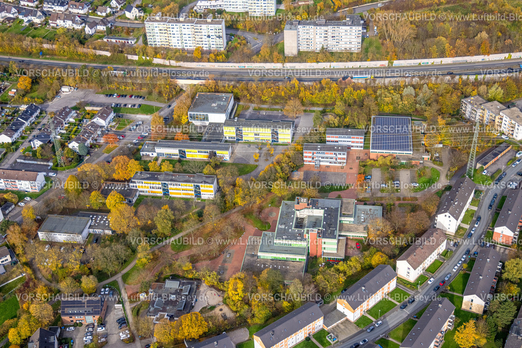 Hagen251101685 | Luftbild, Gymnasium und Realschule Hohenlimburg mit Sporthalle Wiesenstraße, herbstliche Bäume, Hohenlimburg, Hagen, Ruhrgebiet, Nordrhein-Westfalen, Deutschland