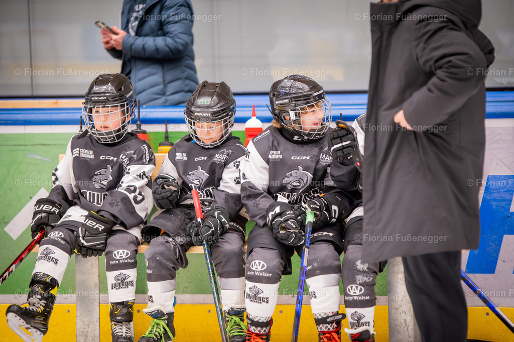 DSC_3501 | "Fussifoto.com – Ihr Ansprechpartner für hochwertige Fotografie! Entdecken Sie kreative Bilder und professionelle Dienstleistungen. Kontaktieren Sie uns für Ihre Projekte!"