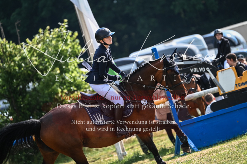 DSC_7858 | Pferde- und Turnierfotografie in Westsachsen. Pferdeportraits, Auftragszeichnungen und intuitive Kunst.