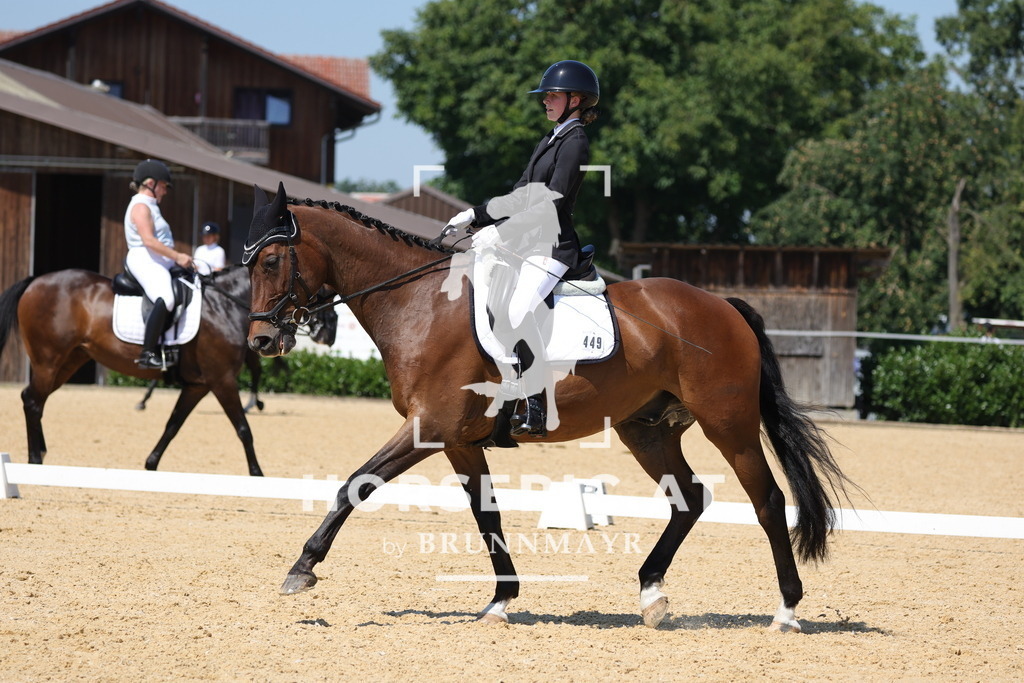 0P6A9917 | Willkommen bei Brunnmayr - Design & Fotografie – Ihrem Spezialisten für Reitturniere und Pferdeveranstaltungen in Oberösterreich, Salzburg und Bayern! Seit über 17 Jahren sind wir leidenschaftlich dabei.