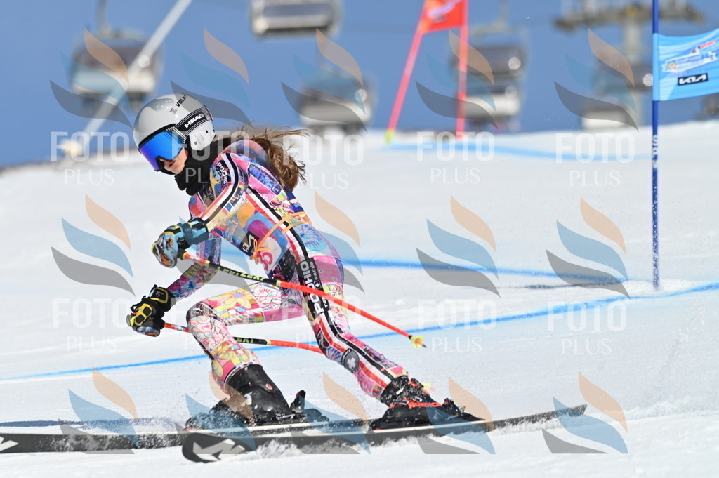 BGV_8275 | holidayphoto