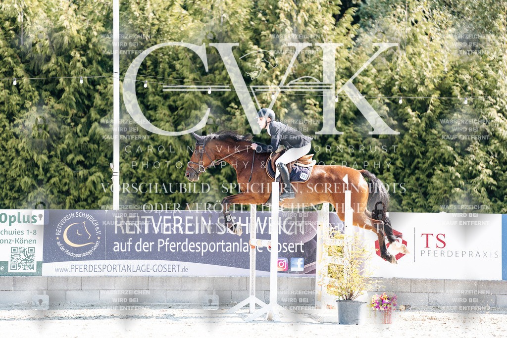 CK902437 | Turnierfotografie Pferdefotografie Trier Rheinland-Pfalz Pferdesport Reitsport Tierfotografie Sportfotografie Pferdevideo Pferdevideografie Equestrianvideography equestrianphotography  - Realisiert mit Pictrs.com