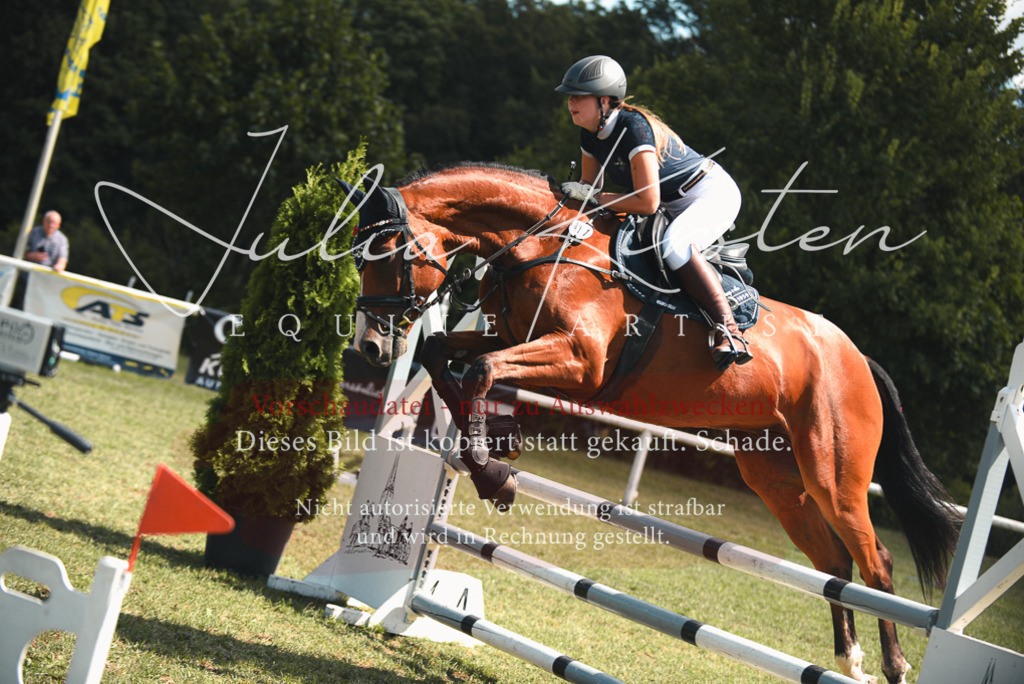 DSC_6476 | Pferde- und Turnierfotografie in Westsachsen. Pferdeportraits, Auftragszeichnungen und intuitive Kunst.
