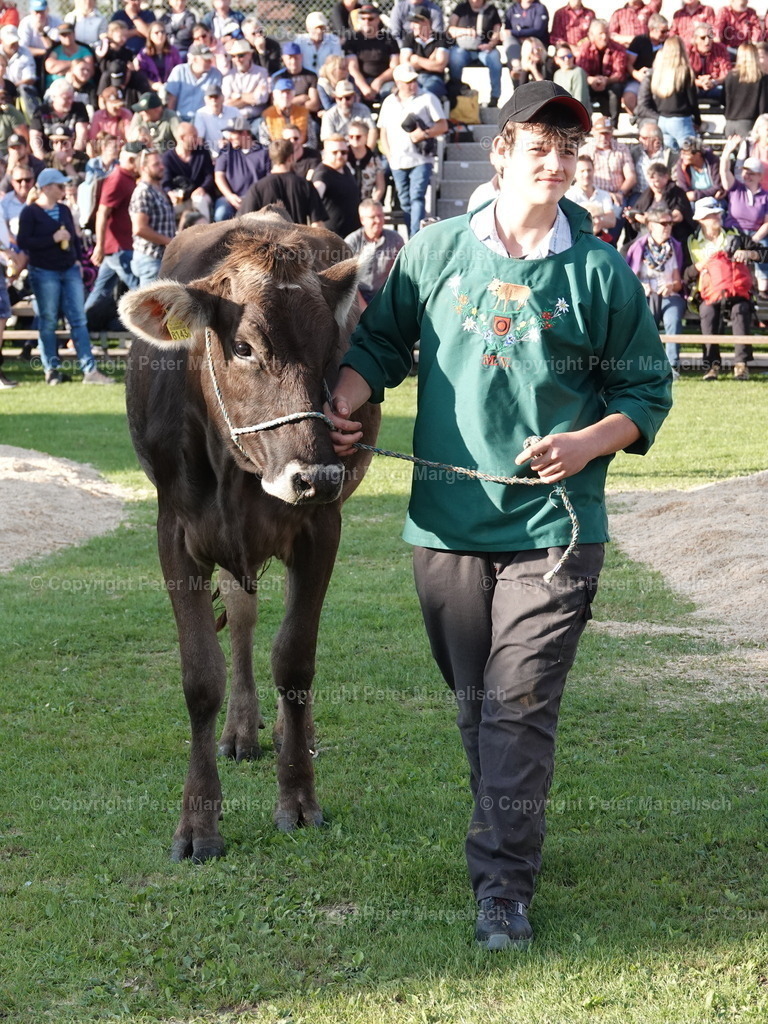 DSC05687 | Schwingen - Realisiert mit Pictrs.com