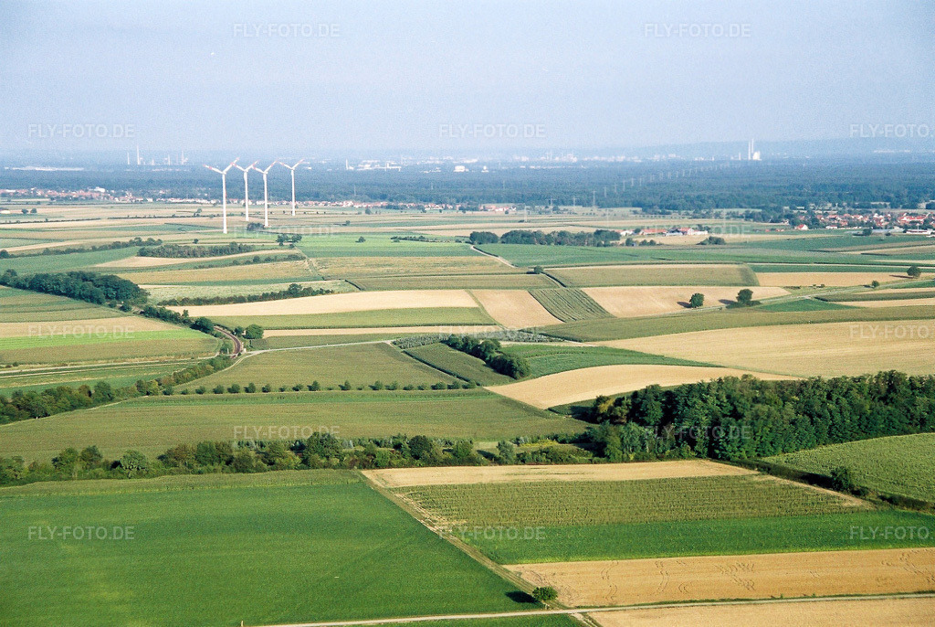 Luftbild: Windräder des Minfeldder Windparks in Minfeld im Bundesland Rheinland-Pfalz in Deutschland. Foto: NEG026108.jpg vom 17.08.2005 durch Werner Riehm/FLY-FOTO.de