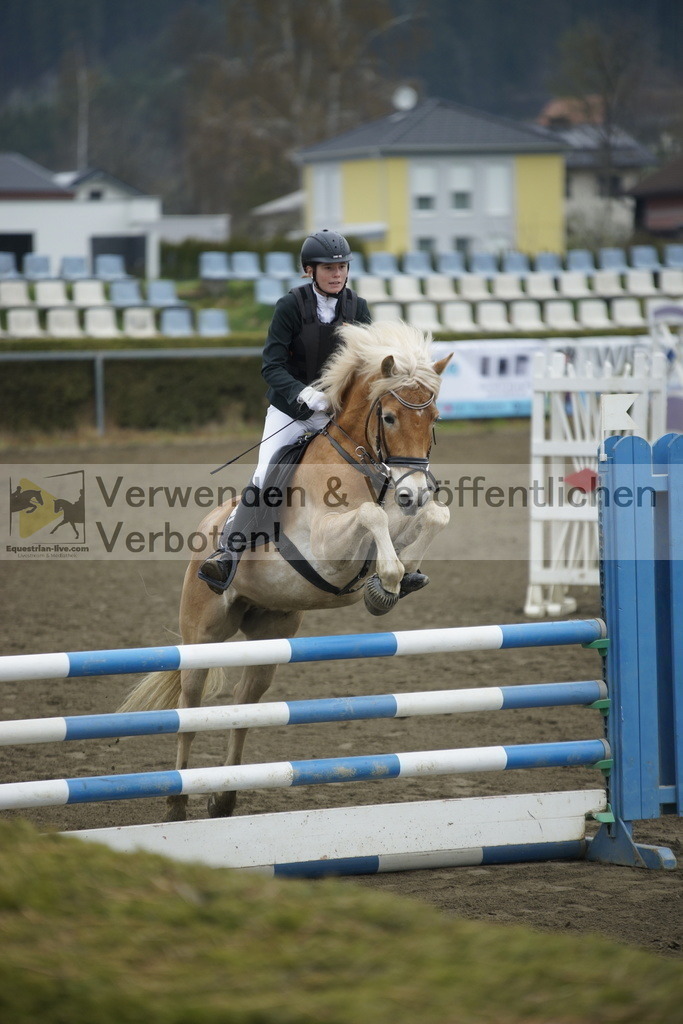 _DSC6767 | equestrian-live-com