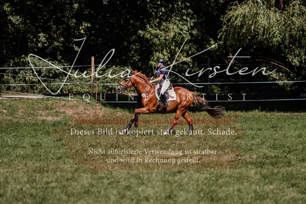 DSC_1885 | Pferde- und Turnierfotografie in Westsachsen. Pferdeportraits, Auftragszeichnungen und intuitive Kunst.