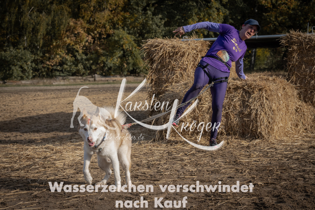 1048_ZZ99287 | kk-dogfotos