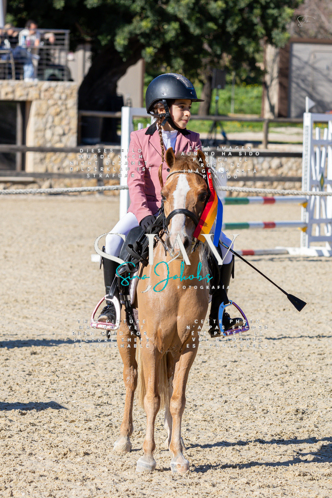 IMG_2064 | s-jay-photography - Realisiert mit Pictrs.com