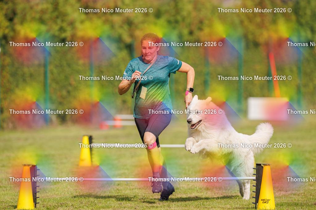 Thomas_Nico_Meuter(C)_27. September 2026_223A6340 | Bild von Thomas Nico Meuter - Realisiert mit Pictrs.com