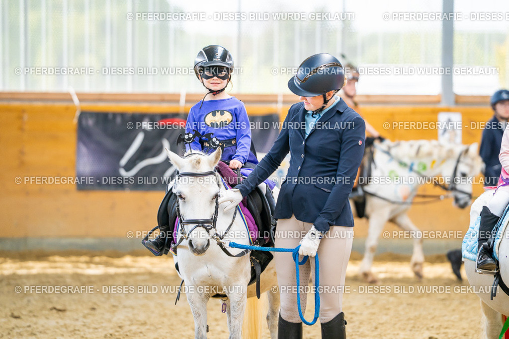 DSC00196 | Pferdegrafie