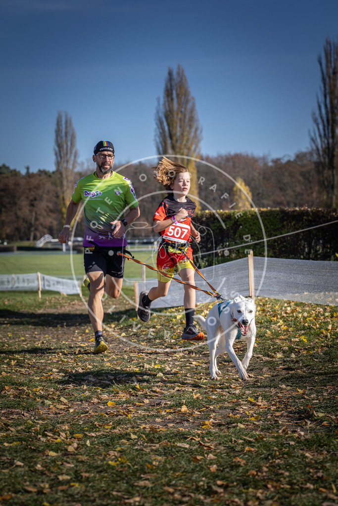 CaniXpix_DV3A7916 | Hundefotografie, Tierfotograf, Pfotenfotografie, Fotoshooting Hund, Hunde Portrait, Hundesport, Hundeportraits, Heideshooting, Hunde, Sportfotograf, Hundefotograf, Turnierhundsport, THS,  - Realisiert mit Pictrs.com