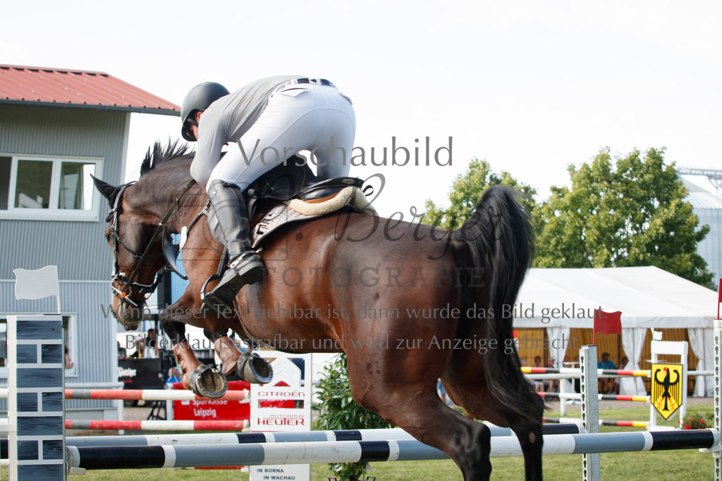 IMG_3706 | P. Berger Fotografie - Realisiert mit Pictrs.com