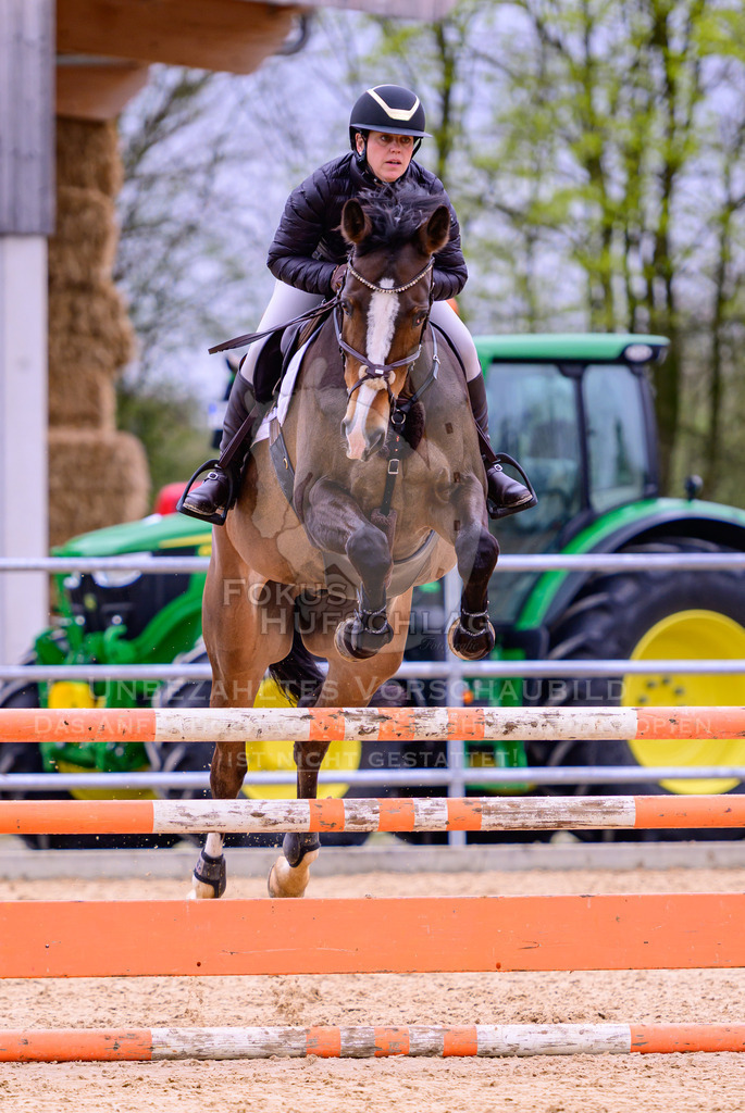 12042026-Mammendorf-Prfg39-0360 | Fokus Hufschlag Fotografie - Realisiert mit Pictrs.com