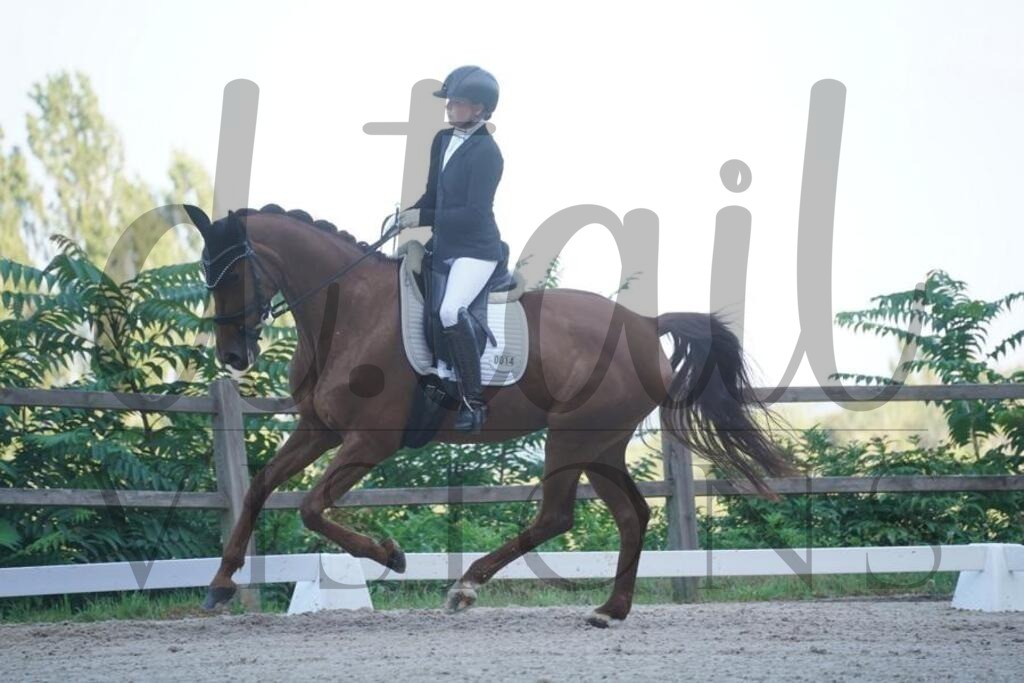 tgbhsonntag (273) | d.tail Visions - Shop - Realisiert mit Pictrs.com