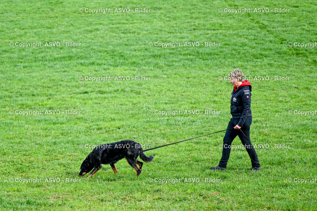 ASVÖ_ Tracking Dog World Championship 2025_ 31.03.2025-83 | 31.03.2025, AUT, ASVÖ, Tracking Dog World Championship // FCI IGP Fährtenhundeweltmeisterschaft 2025©fodo.media / Harald Dostal - Realisiert mit Pictrs.com