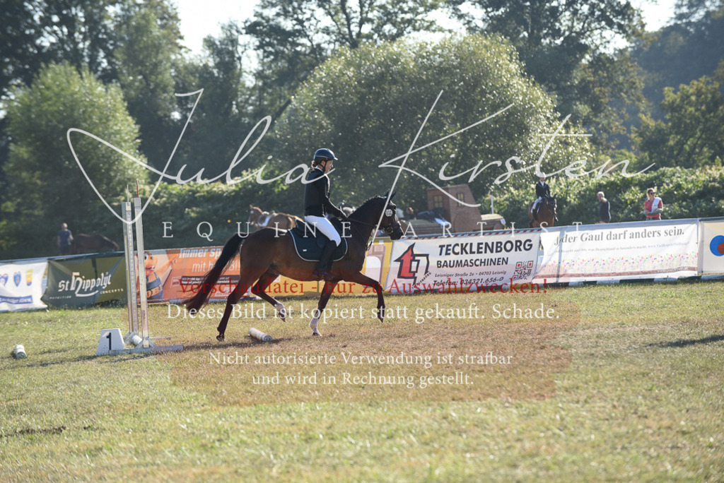 DSC_5539 | Pferde- und Turnierfotografie in Westsachsen. Pferdeportraits, Auftragszeichnungen und intuitive Kunst.