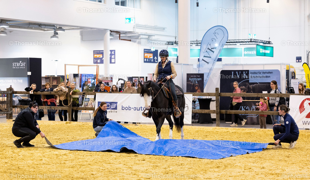 TH_Ivonne Gutsche_27395 | EQUITANA 2025 am 12.03.25 in Essen