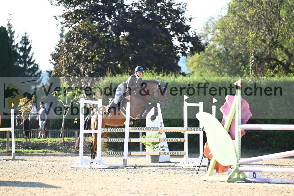 DSC_8906 | equestrian-live-com