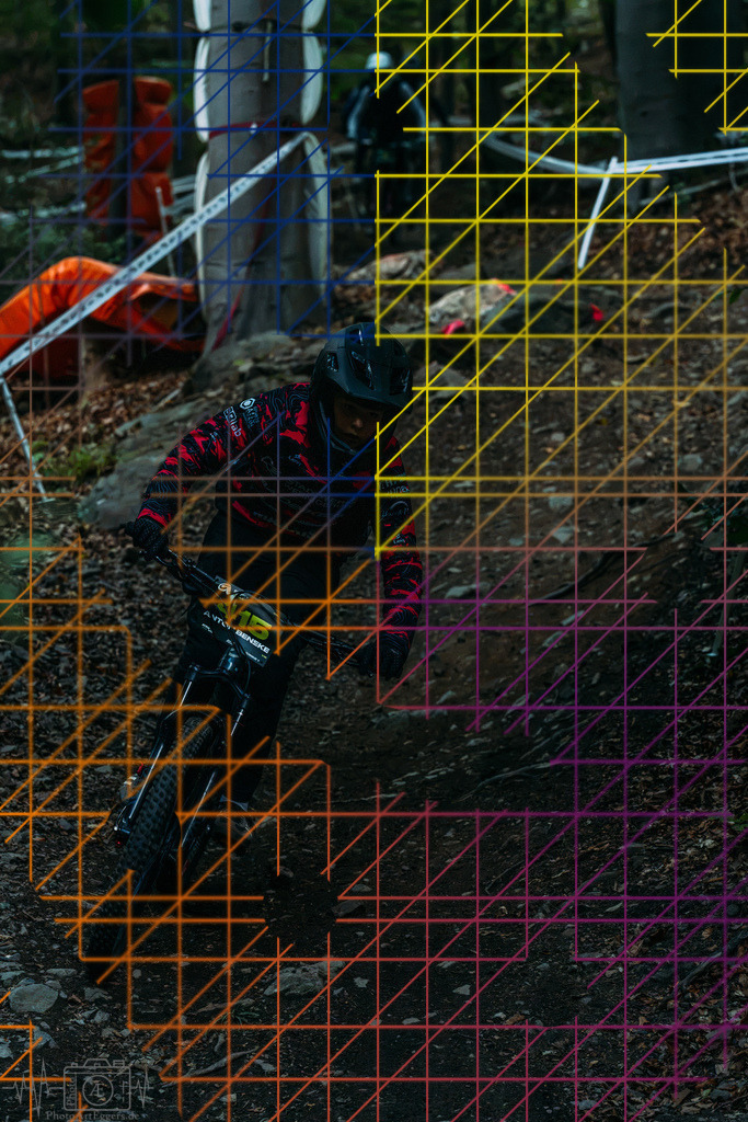 PAE-1347 | Einzigartige Fotokunst für dein Zuhause: Entdecke hochwertige Wandbilder, edle Prints und emotionale Motive von Wildlife, Natur und Landschaften - Realisiert mit Pictrs.com