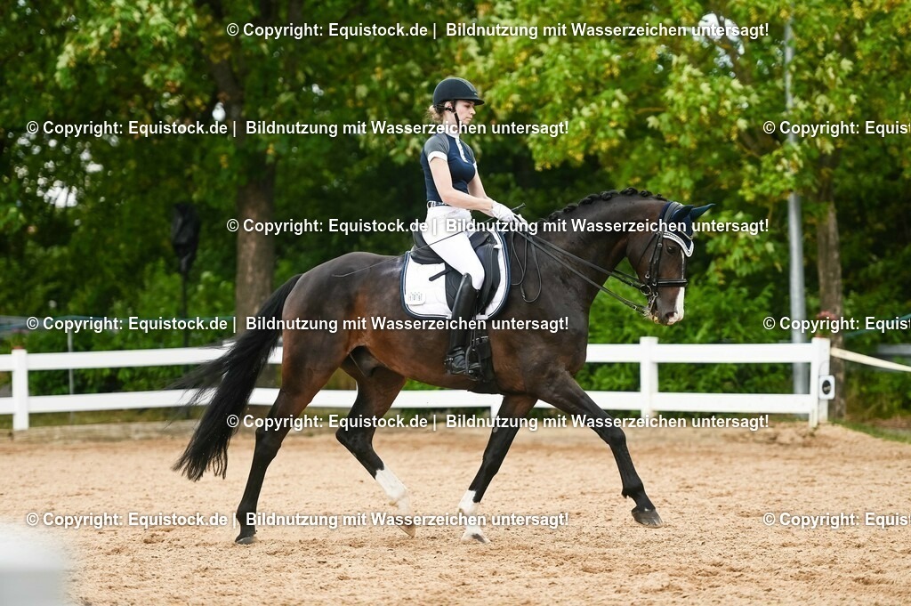 20230716_01_Dressurprüfung Kl.M_0477 | equistock