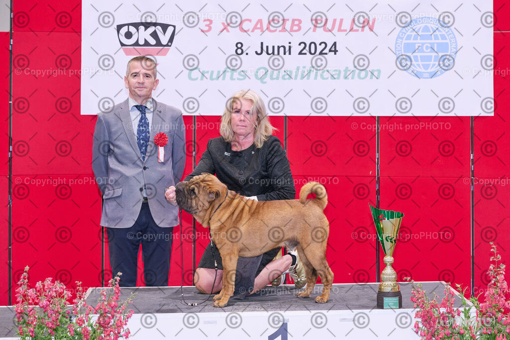 202406_ÖKV-IHA-Tulln24_NZ9_8778 | proPHOTO - Realisiert mit Pictrs.com