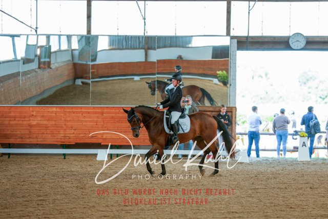 _62_7457 | Turniersportfotografie; Pferdefotografie; Dressurfotografie