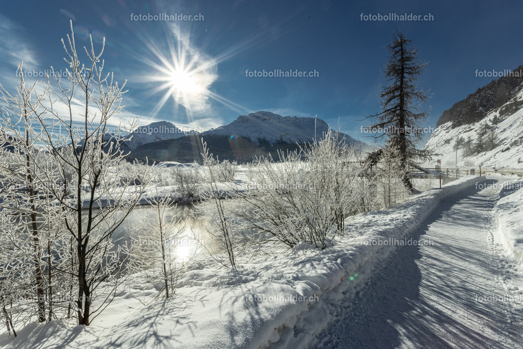 IMG_5150 | Foto Bollhalder 