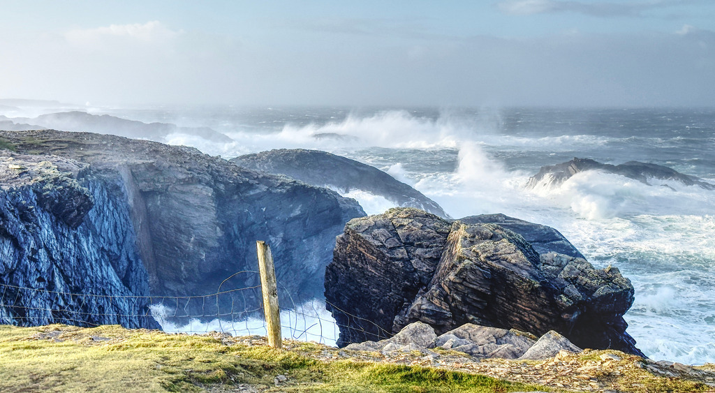 IMG_1642 | www-pimpup-me - Realisiert mit Pictrs.com