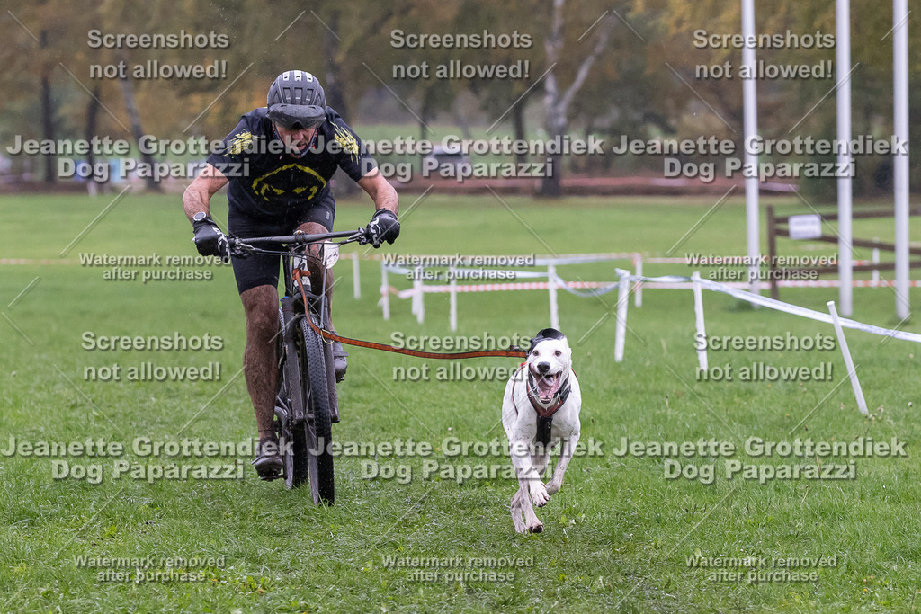 Dog Paparazzi - SD CaniX Championship 2025-929 | Dog Paparazzi Jeanette Grottendiek Fotografie & Videografie - Realisiert mit Pictrs.com