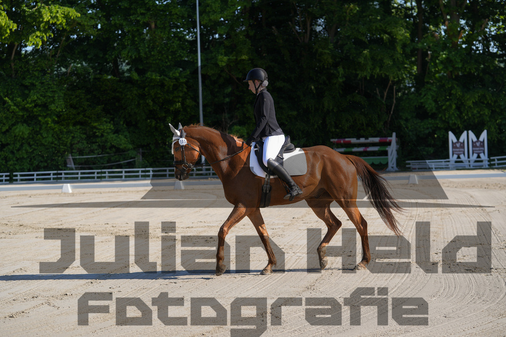 DSC02831 | Julian Held Fotografie - Realisiert mit Pictrs.com