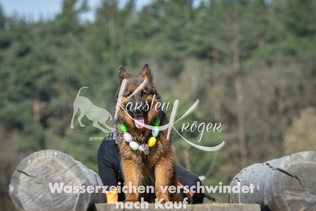 0940_ZZ94986 | kk-dogfotos