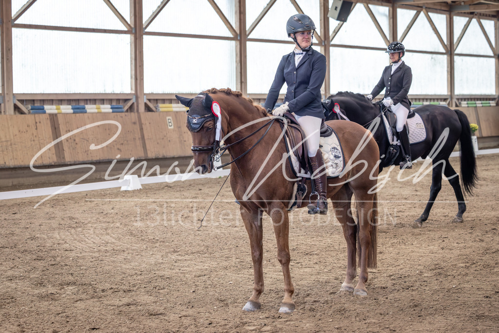 20251011-_3LI1257 | Tierfotografie Pferde, Hunde, Katzen, Haustiere.
Turnierfotografie Reitturniere, Reiten, Springreiten, Dressur in Hanau, dem Main-Kinzig-Kreis und dem Rhein-Main- Gebiet um Frankfurt